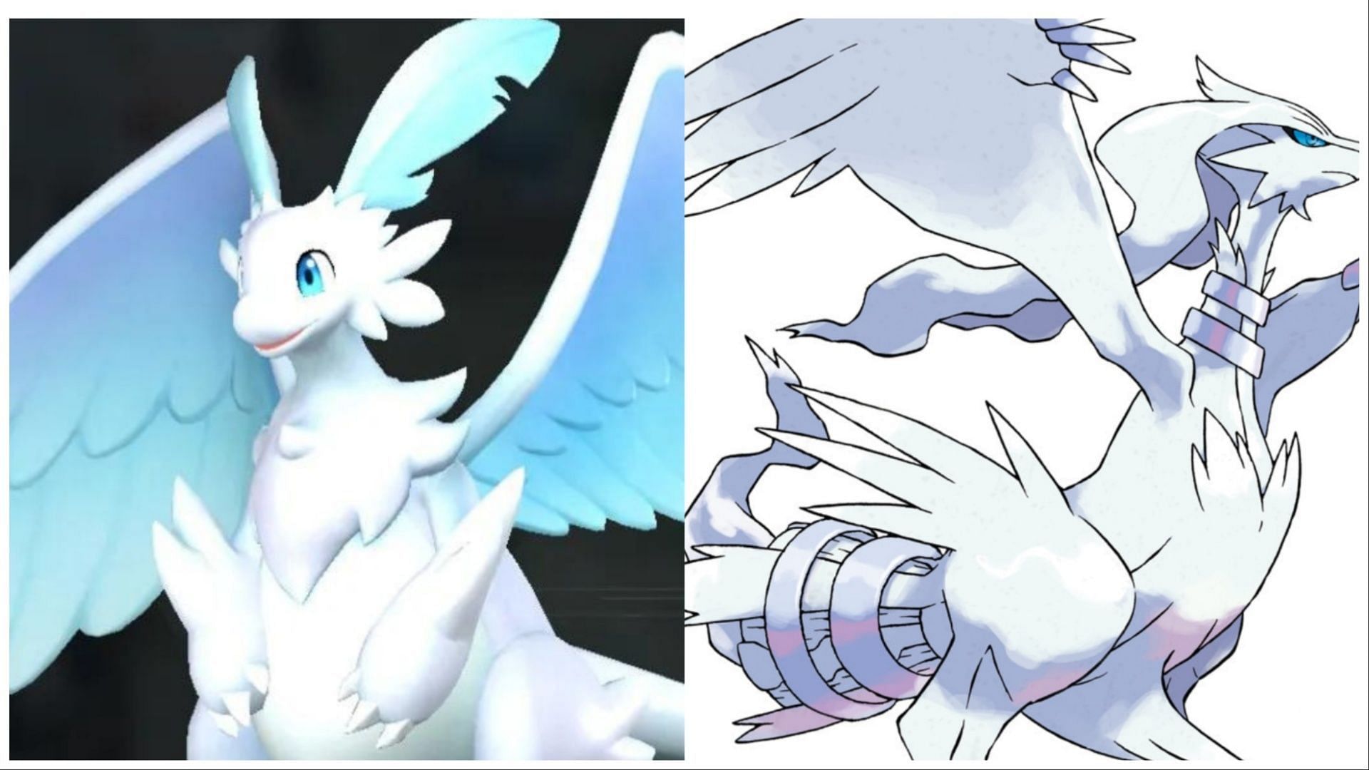 Quivern and Reshiram share a similar majesic feel (Image via Pocketpair/ The Pokemon Company)